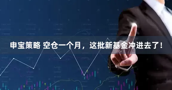 申宝策略 空仓一个月，这批新基金冲进去了！
