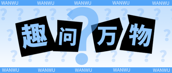 公富网配资 为什么澳大利亚的海滩上放一瓶醋？还是蓝色的醋？