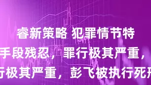 睿新策略 犯罪情节特别恶劣，手段残忍，罪行极其严重，彭飞被执行死刑