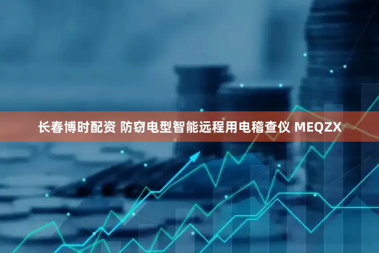长春博时配资 防窃电型智能远程用电稽查仪 MEQZX